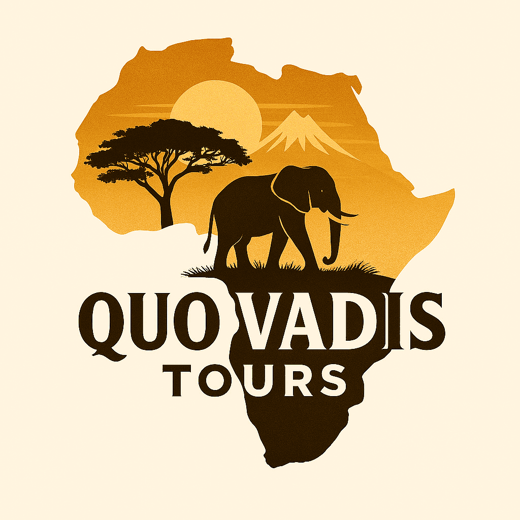Quo Vadis 4x4 Tours