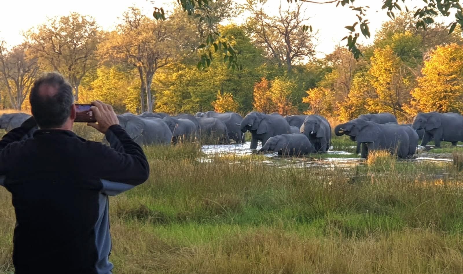 Traveller photographing a large herd of elephants at a waterhole in the Okavango Delta