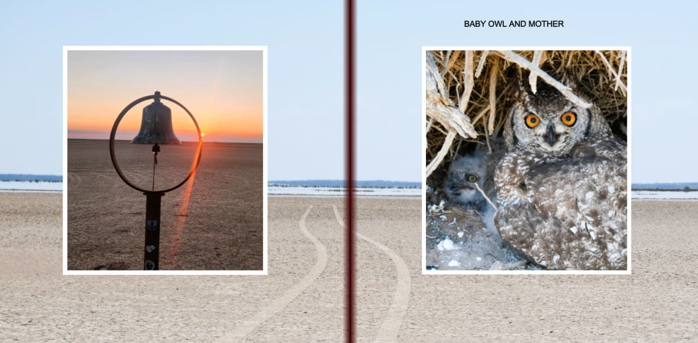 Memories of the Kalahari photo book — page 3: Sunset bell & baby owl with mother