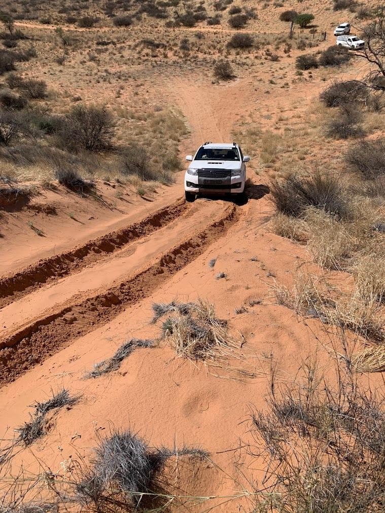 Watch Quo Vadis guided 4x4 safaris video