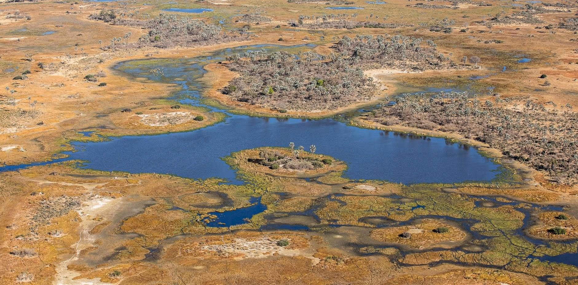 Best Time to Travel to Botswana