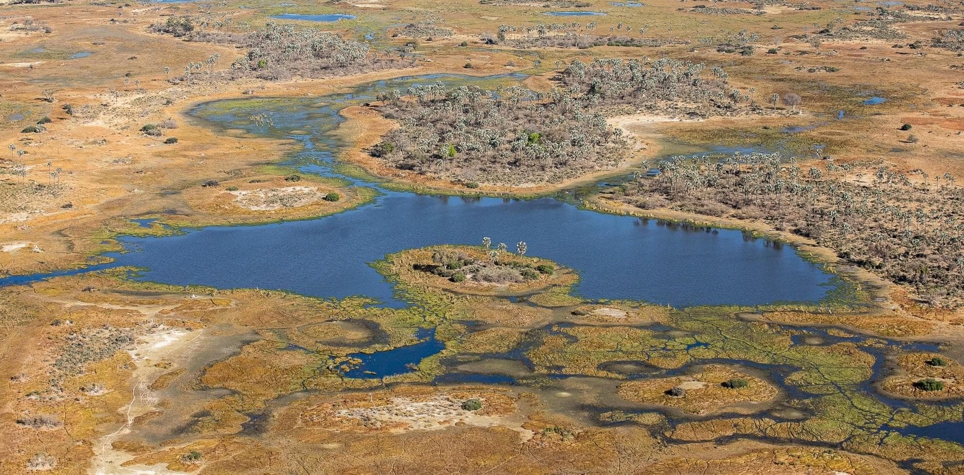 Stunning aerial view of the Okavango Delta showing blue waterways, palm-dotted islands and golden floodplains