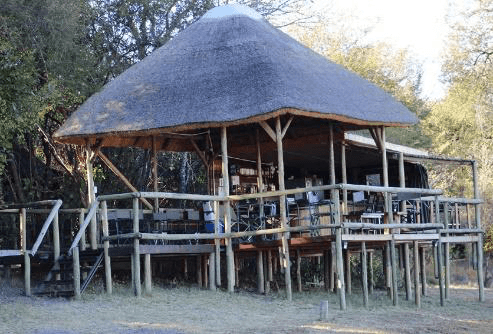 Raised thatched-roof safari lodge deck and bar on wooden stilts among the trees at Camp Kwando