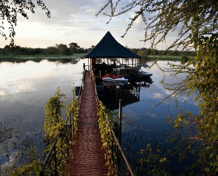Wooden boardwalk leading across a calm river to a thatched-roof floating deck lodge at dawn, framed by green foliage, at Taranga Lodge on the Okavango