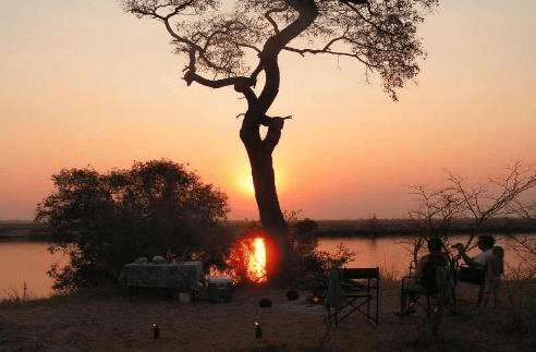 Riverside camp at sunset with a laid dinner table and camp chairs beside a lone tree silhouetted against the sun setting over the Chobe River