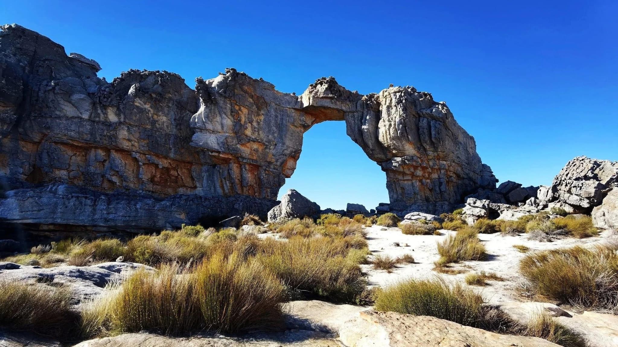 The stunning natural rock arch formation in the Cederberg Wilderness Area with golden grass and clear blue skies