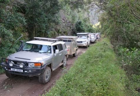 4x4 convoy vehicles on forest trail expedition