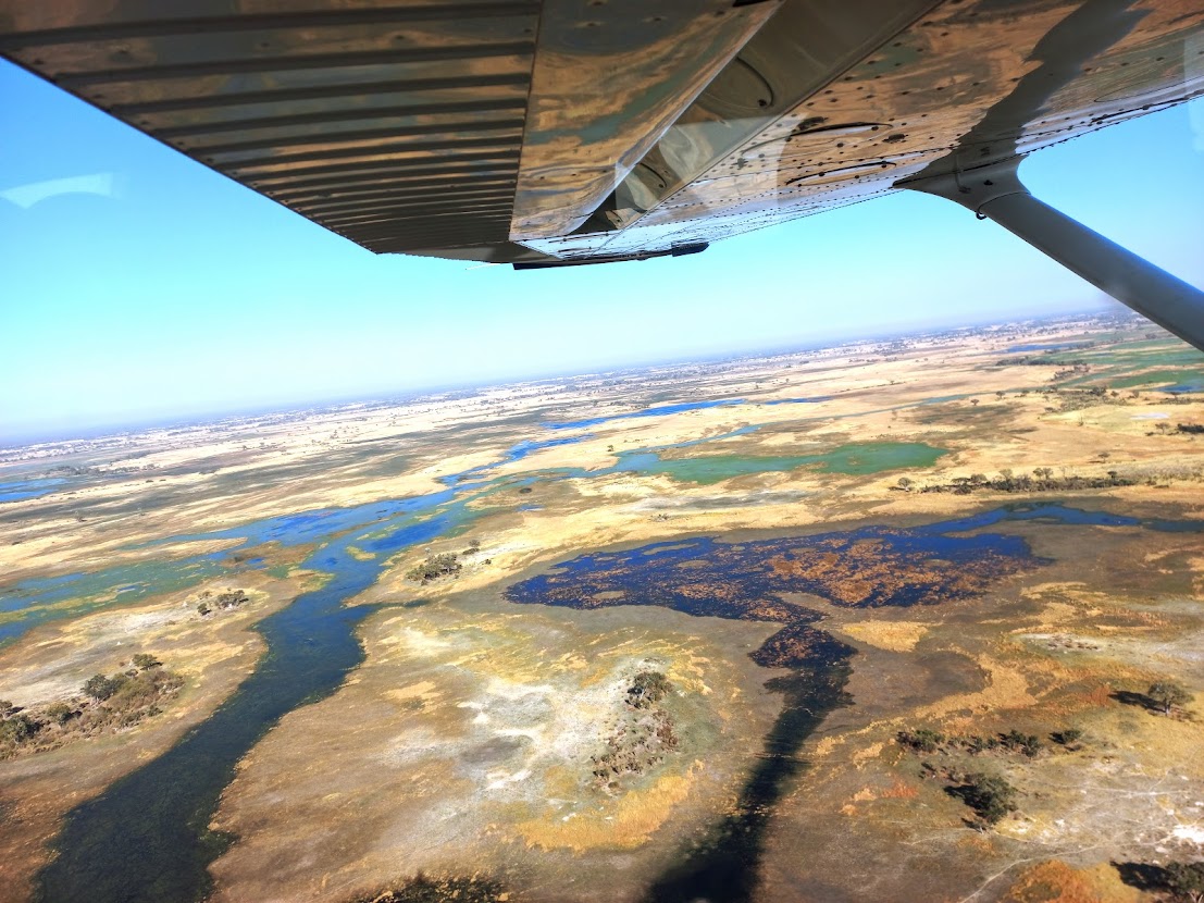 Luftaufnahme aus einem Kleinflugzeug über dem Okavango-Delta mit Wasserwegen und grünen Inseln