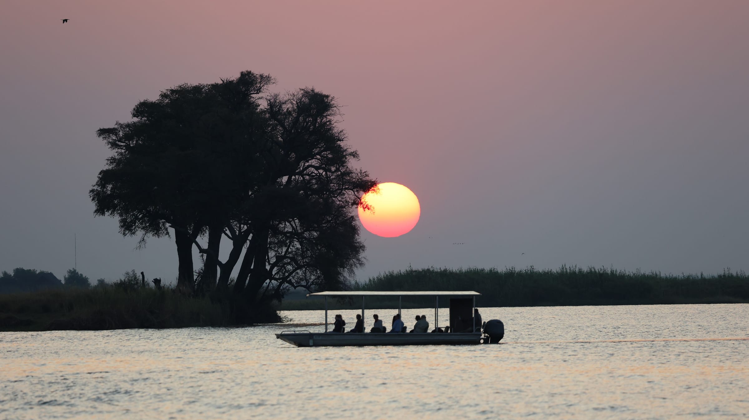 Atemberaubende Sonnenuntergangs-Bootsfahrt auf dem Chobe-Fluss mit großer oranger Sonne hinter Bäumen