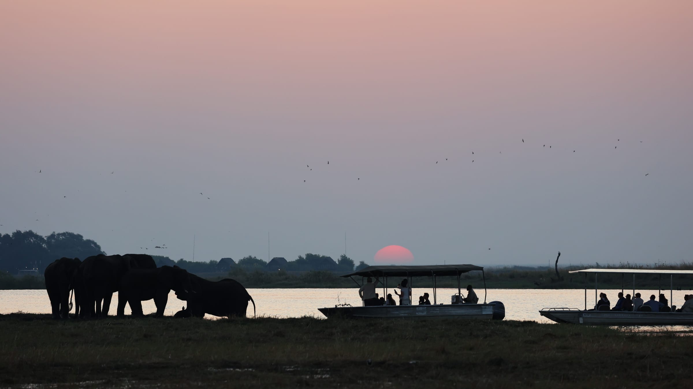 Sonnenuntergang über dem Chobe-Fluss mit Silhouetten von Elefanten am Ufer und Safari-Booten mit Touristen im Vordergrund