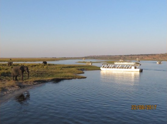 Chobe-Fluss mit Elefanten am Ufer und Safari-Bootsfahrten auf dem Wasser