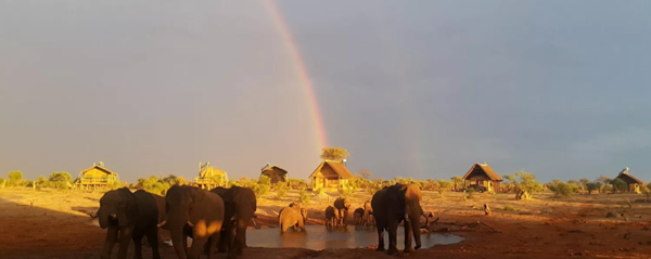 Elefantenherde trinkt am Wasserloch vor den Chalets der Elephant Sands Lodge mit Regenbogen im Hintergrund
